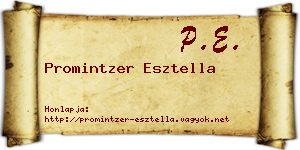 Promintzer Esztella névjegykártya